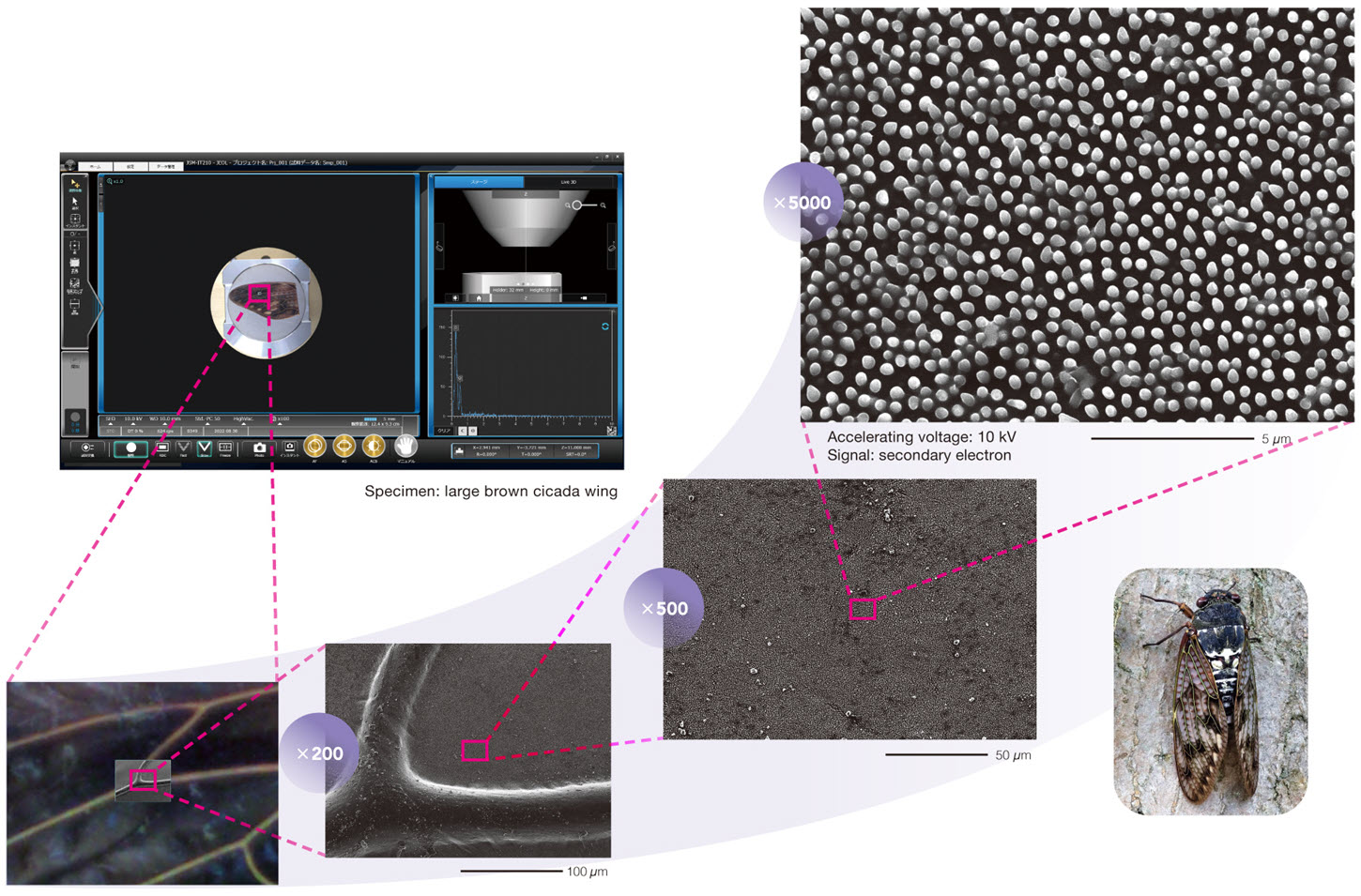 The Zeromag function simplifies navigation