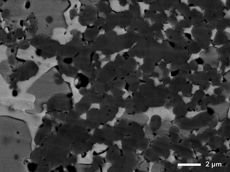 Backscattered electron image Backscattered electron image